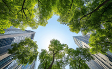 From risk to reward: How UK businesses are building resilience to deliver long-term value