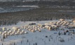  The Donlin gold project in Alaska, a joint venture between Novagold Resources and Barrick Gold