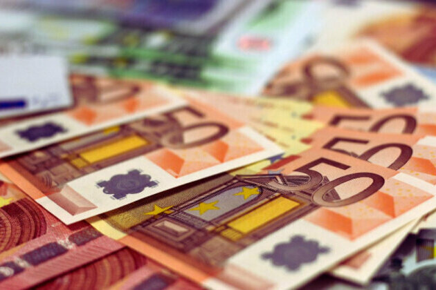 Economic Expert Highlights Key Hurdles for Bulgarias Euro Transition