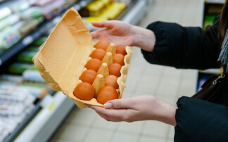 Irish egg shortages due to low prices