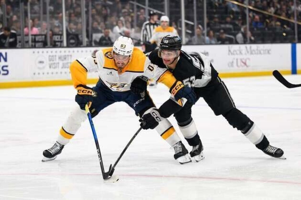 Kings retake wild-card position with shootout win over Predators