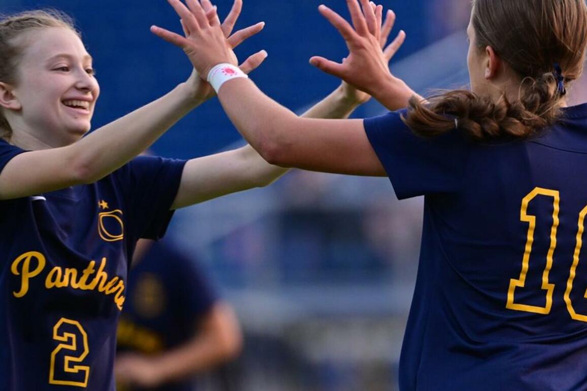 'We know what it takes'- O'Fallon overcomes slow start to win Class 3A sectional crown
