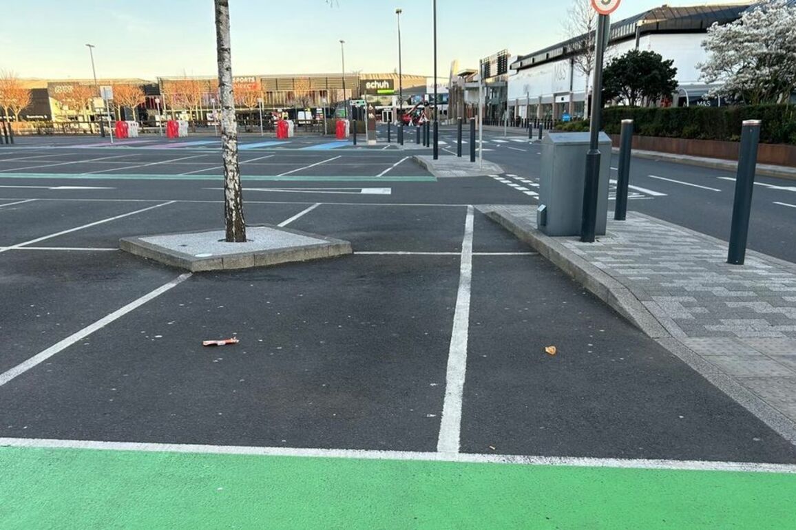 Family fined 100 for parking 'over the line' to help disabled grandmother