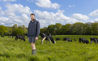 Organic September: Changes planned for Kent organic dairy farm