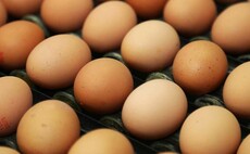 Defra launches supply chain review amid mounting egg sector anger