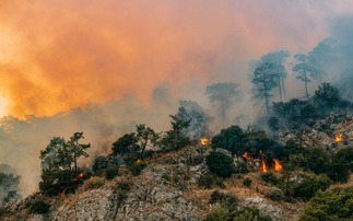 Survey: Public concern over climate change remains high, despite growing fear of conflict