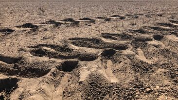 The Victoria Government has extended its drought support to include more areas in the state's south west.