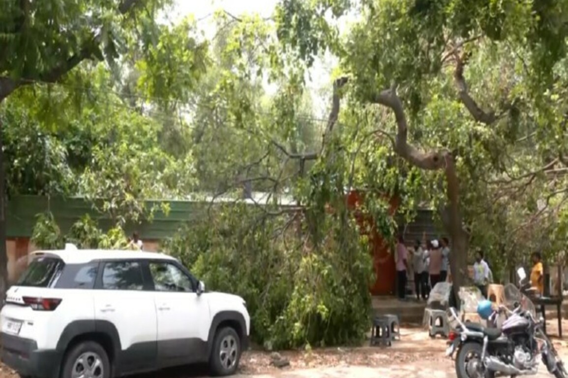 Delhi: 2 men, street dog die of electrocution in RK Puram