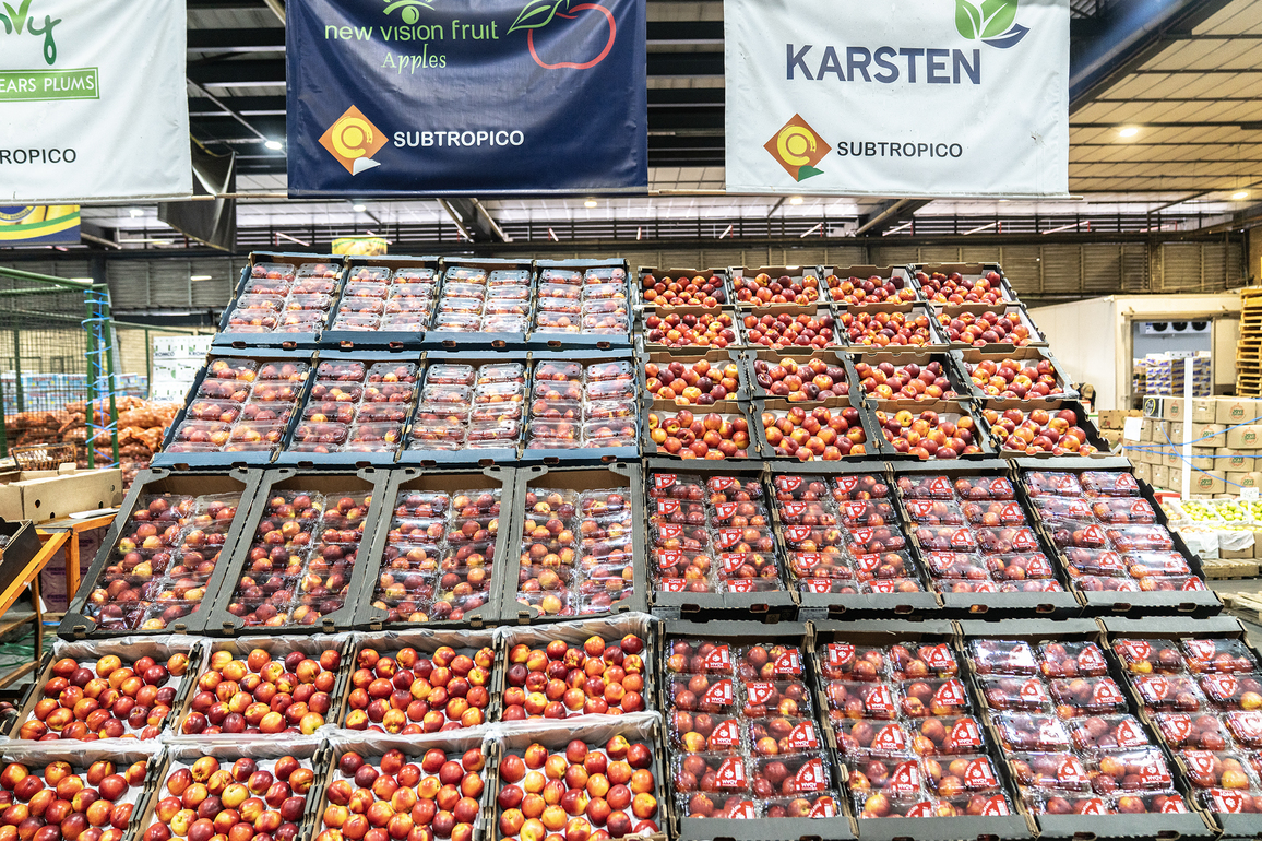 SOUTH AFRICA-JOHANNESBURG-FRUIT EXPORT-CHINA