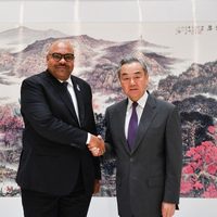 CHINA-HUNAN-CHANGSHA-WANG YI-TANZANIA-MEETING (CN)