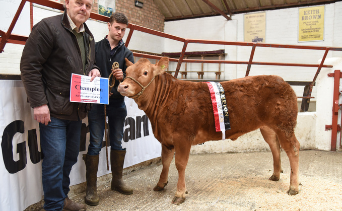 Top price and champion from Glenn and Myles Mortimer