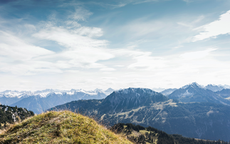 Partner Insight: Global dividends hit a Q3 record, led by financials