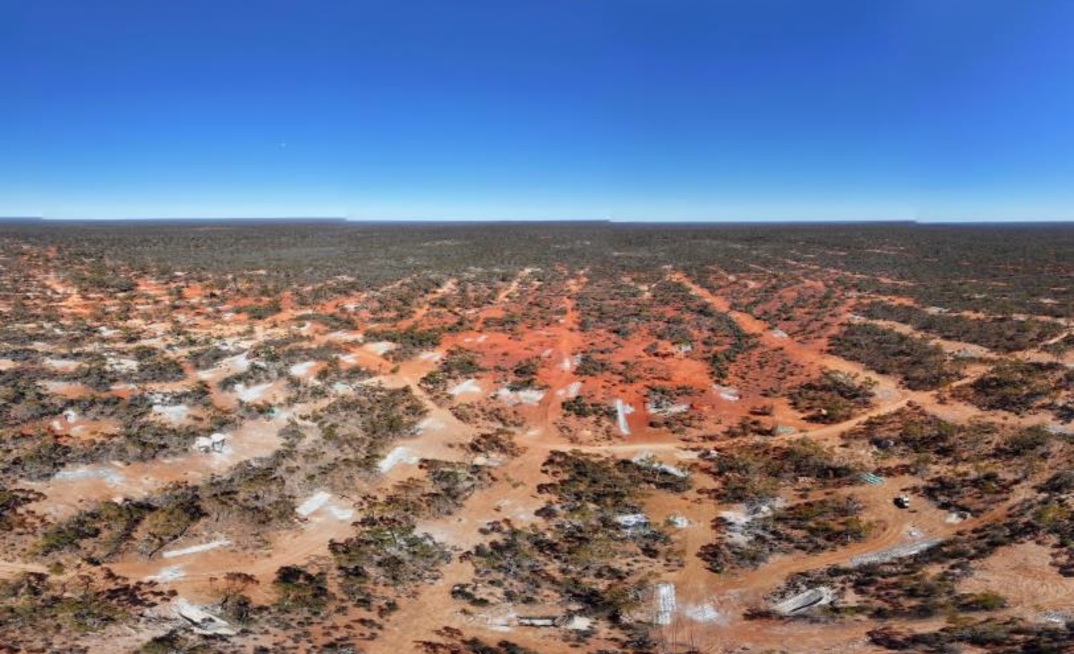 Manna is 'world class' claims Shaw