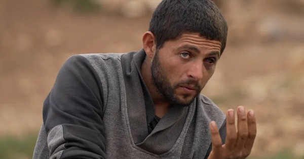 Settler violence in West Bank reaches new low