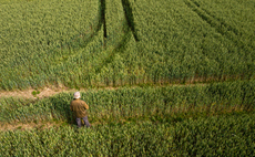 Over half of UK farmers adopting regenerative practices as climate pressures intensify