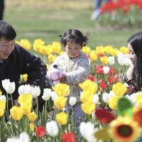 Shaping inclusive urban life across China