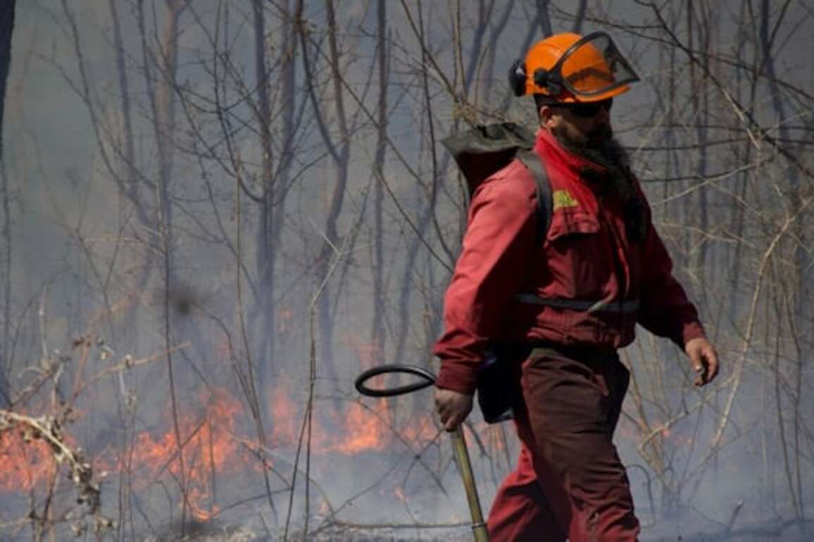 How prescribed burns can help ecosystems thrive