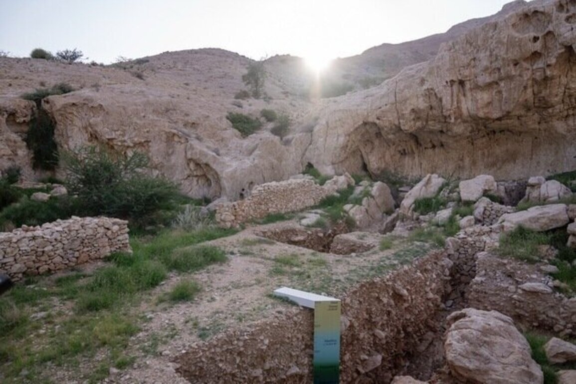 Al Faya prehistoric cultural landscape shapes human history