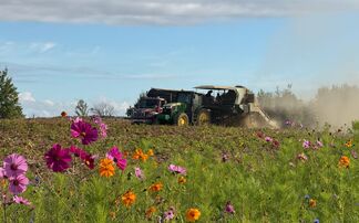 '51AV��Ƶof the Future' launched to trial farm-scale regenerative potatoes