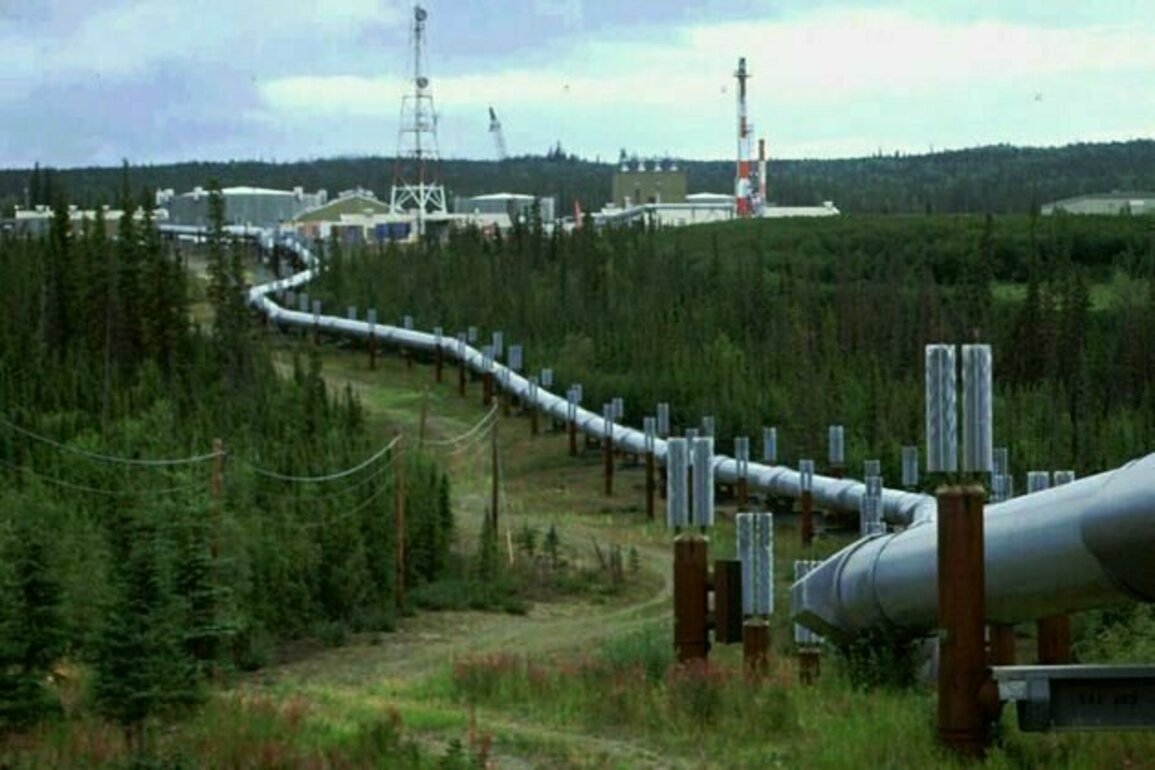 White House plans for Alaskan oil and gas face some hurdles - including from Trump and the petroleum industry