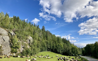 Ag in my Land: Small Norwegian farm keeps traditions alive 