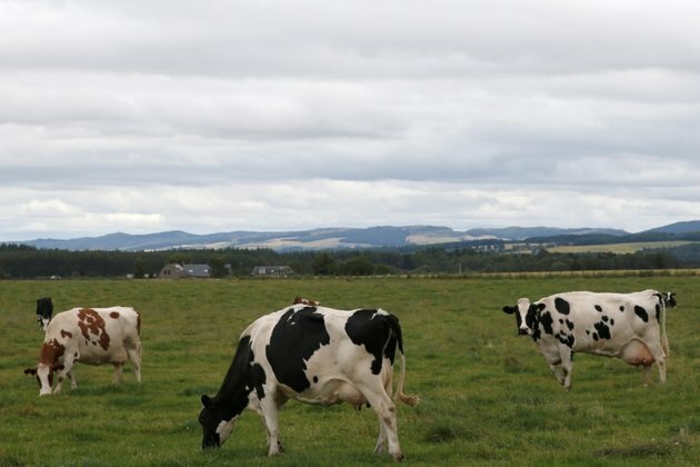 Milk Use and Lactose Tolerance Didnt Develop Hand in Hand in Europe