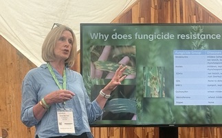Groundswell: Bio-pesticides, niche cropping ideas and regenerative cash crops take centre stage