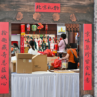 CHINA-BEIJING-CIFTIS-VENUE-VISIT (CN)