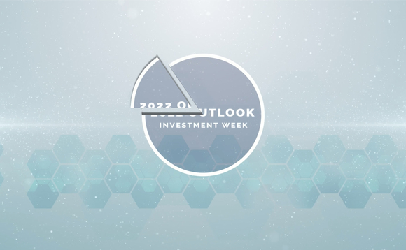 Outlook 2022 piece by piece: Sustainable investing