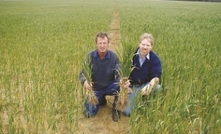 Soil testing key to dealing with acidic soils