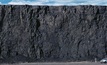 Ecora results inline, as Kestrel coal royalties fall