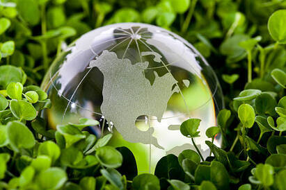 Sustainable bonds – what's next?