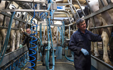 How to build a strong team on your dairy farm