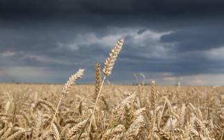 New AHDB report calls on farmers to future-proof their business against climate change 