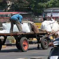 Heat wave grips northern India as temperatures soar past 47°C