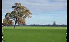  Farmers and agricultural workers are included in new mandatory vaccination regulations in Victoria. 