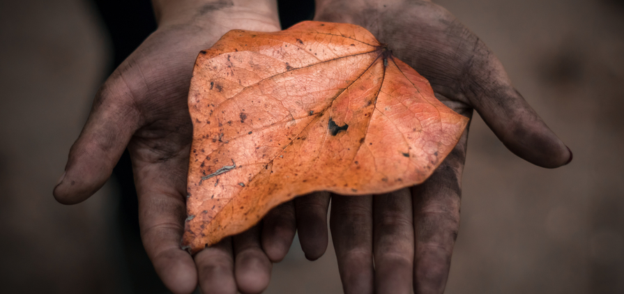 Hands of a child working in the coal mines of Meghalaya, India. 