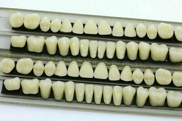Teeth record the hidden history of your childhood climate and diet