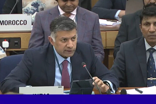 "Targeting ships in international waterways unacceptable," says India as IMO condemns attacks on vessels in Strait of Hormuz