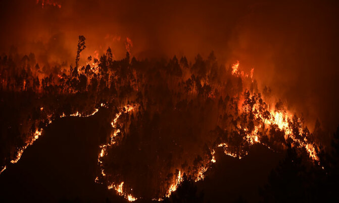 The forest fires that have killed over 60 people The forest fires that have killed over 60 people
