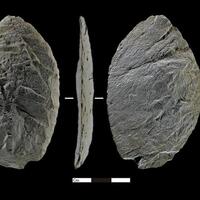 Chinese researchers uncover record-high evidence of ancient human activity on eastern Qinghai-Tibet Plateau