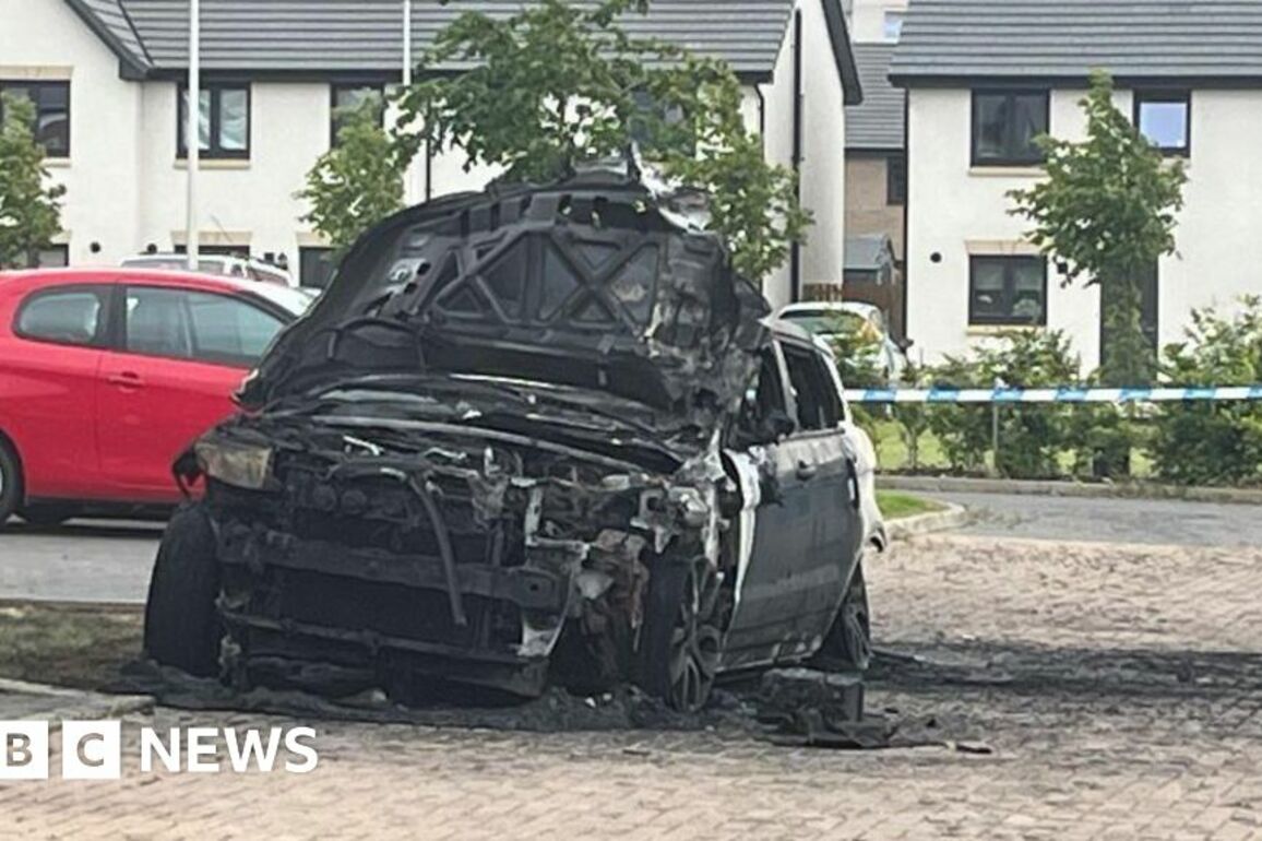 Vehicles set on fire as police probe links to gang feud