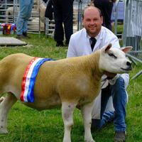 Pembroke Town & Country Show 2025 returns to Lamphey