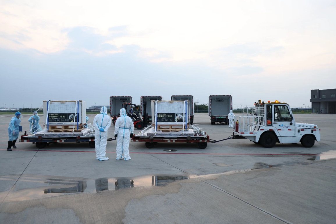 CHINA-SICHUAN-CHENGDU-JAPAN-BORN PANDAS-ARRIVAL (CN)