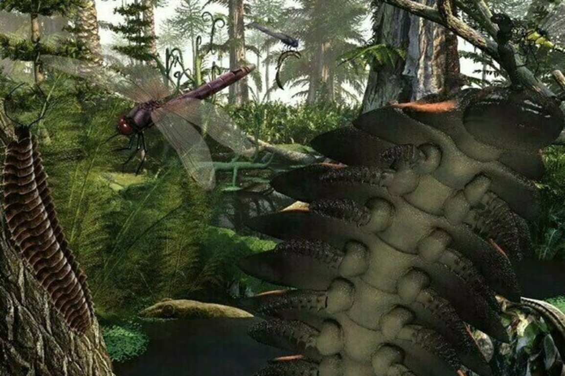 Fossilized Amber Preserves Prehistoric Insects from Age of Dinosaurs