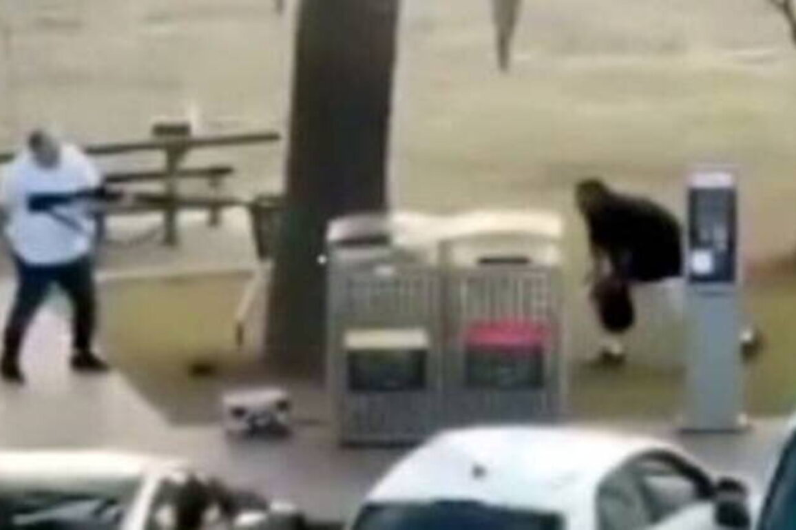 Brave bystander disarms gunman at Sydney terrorist attack (VIDEO)