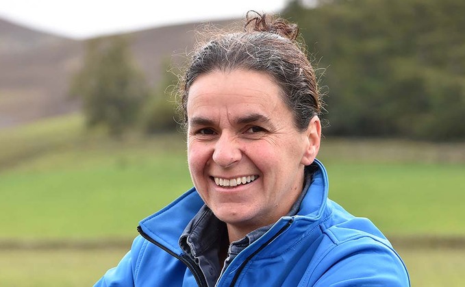 In your field: Kate Rowell - 'Best laid lambing plans are not always successful'