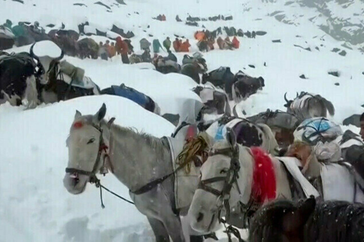Hundreds trapped on Mount Everest  media