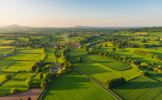 'Nature is dying': Government orders 'rapid review' of statutory environmental targets