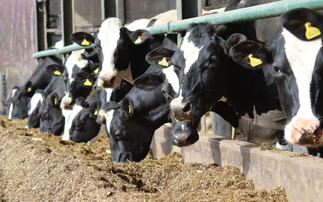 Dairy farmers under severe pressure this winter, says UFU